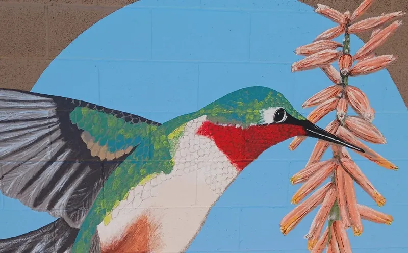 Hummingbird and desert flower mural at the Miramonte Pocket Park